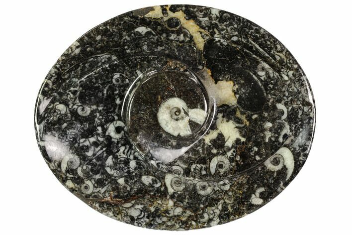 Oval Shaped Fossil Goniatite Dish - Morocco #108006
